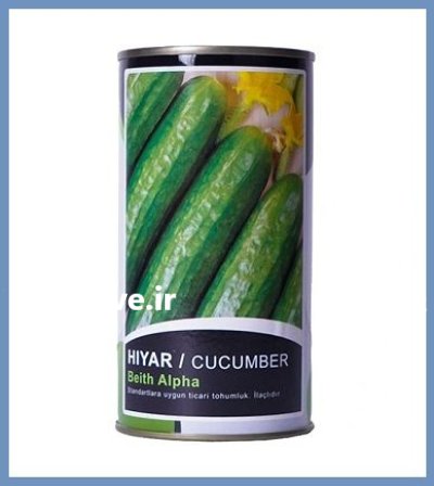 فروش بذر خیار ترکیه بذر خیار در گروه خرید و فروش بذر خیار در یکمیوه -عکس1