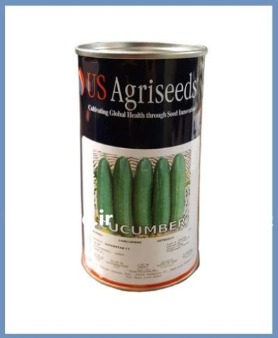 بذر خیار سوپر استار یو اس در اهواز در گروه خرید و فروش بذر خیار در یکمیوه -عکس1