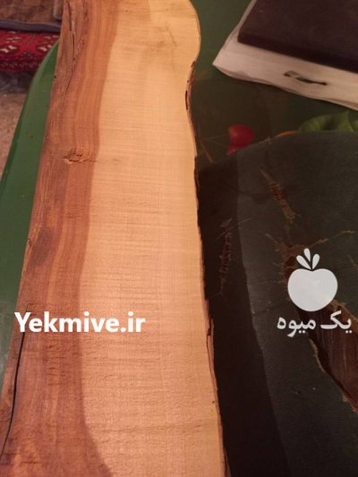 درخت چوب خشک چوب کیکم در تهران در گروه خرید و فروش چوب خشک در یکمیوه -عکس1