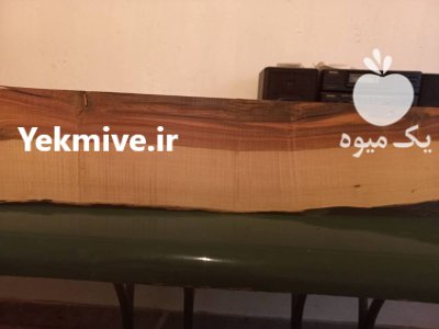 درخت چوب خشک چوب کیکم در تهران در گروه خرید و فروش چوب خشک در یکمیوه -عکس2