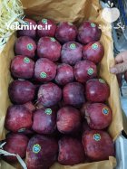 فروش سیب زرد و قرمز در گروه خرید و فروش سیب در یکمیوه