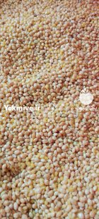 فروش ارزن ایرانی محصول امسال در همدان در گروه خرید و فروش غلات و حبوبات در یکمیوه