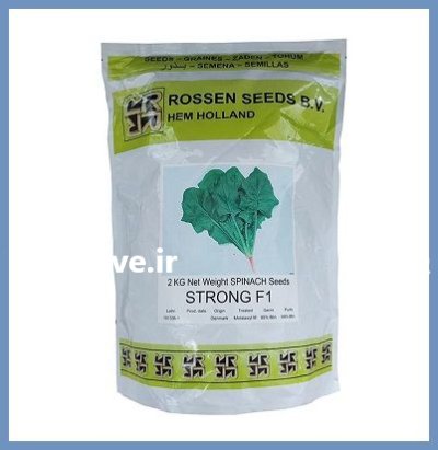 فروش بذر اسفناج STRONG F 1 در اهواز در گروه خرید و فروش بذر سبزی در یکمیوه -عکس1