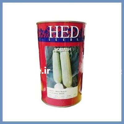 بذر کدو وایت بوش HED آمریکا در گروه خرید و فروش بذر کدو در یکمیوه -عکس1