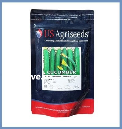 فروش بذر خیار KISH یو اس در اهواز در گروه خرید و فروش بذر خیار در یکمیوه -عکس1