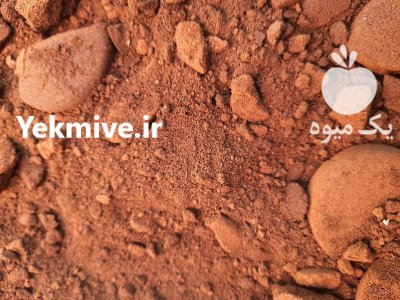 تفاله قهوه خشک و تمیز در کرمان در گروه خوراک دام و طیور در یکمیوه -عکس1