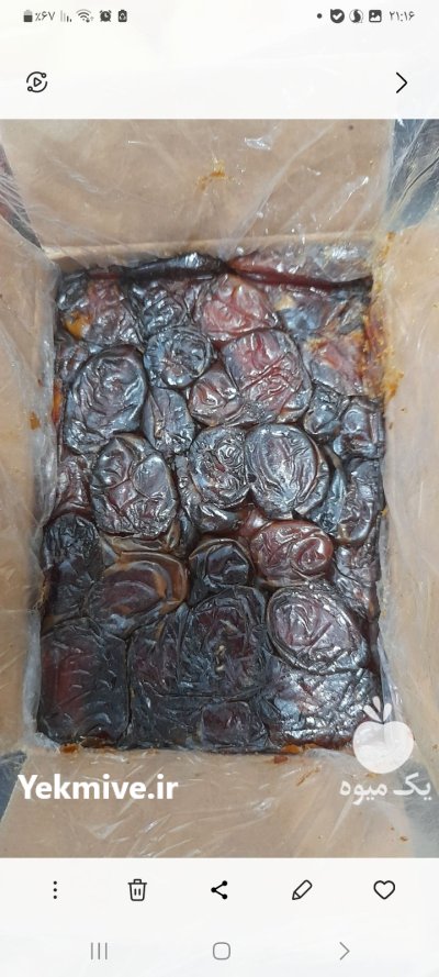 فروش خرما کبکاب در بوشهر در گروه خرید و فروش خرما در یکمیوه -عکس2