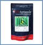 فروش بذر خیار KISH یو اس در اهواز در گروه خرید و فروش بذر خیار در یکمیوه