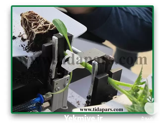 فروش ربات پیوند زن نشاء در کرج در گروه خرید و فروش دستگاه نشا در یکمیوه -عکس1