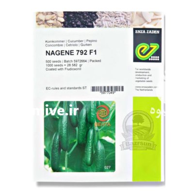 بذر خیار گلخانه ای ناگین در گروه خرید و فروش بذر خیار در یکمیوه -عکس1