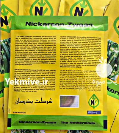 بذر خیار گلخانه ای کیهان در گروه خرید و فروش بذر خیار در یکمیوه -عکس2