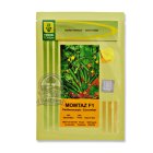 بذر خیار ممتاز در اهواز در گروه خرید و فروش بذر خیار در یکمیوه