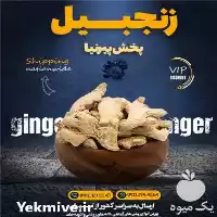 قیمت خرید زنجبیل چینی قلم در گروه خرید و فروش ادویه در یکمیوه
