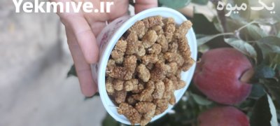 فروش توت خشک ارومیه در گروه خرید و فروش توت در یکمیوه -عکس2