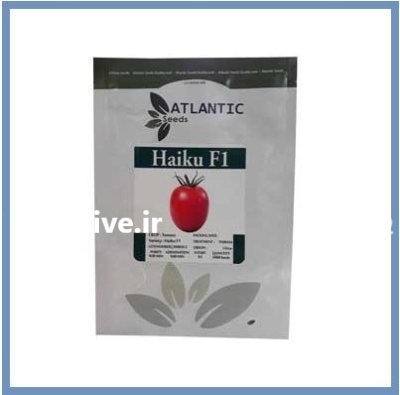 فروش بذر گوجه فرنگی HAIKU آتلانتیک در اهواز در گروه خرید و فروش بذر گوجه در یکمیوه -عکس1