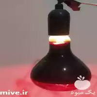 فروش لامپ مناسب درمان در اصفهان در گروه خرید و فروش لامپ رشد در یکمیوه