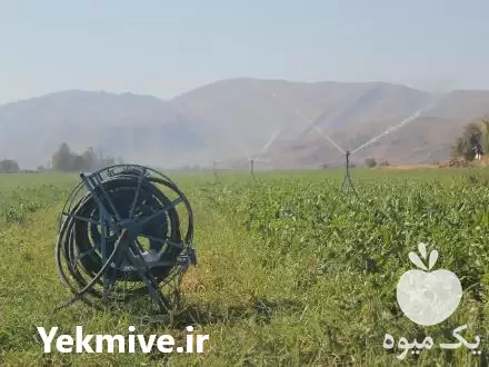 فروش ماشین آبفشان قرقره ای کوچک در مرودشت در گروه خرید و فروش دستگاه آبیاری در یکمیوه -عکس1