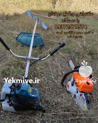 علفتراشی و قطع درخت هرس با دستگاه در چالوس در گروه خدمات باغبانی در یکمیوه -عکس2