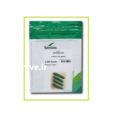 بذر خیار امپراطور سمینیس آمریکا فروش در گروه خرید و فروش بذر خیار در یکمیوه -عکس1
