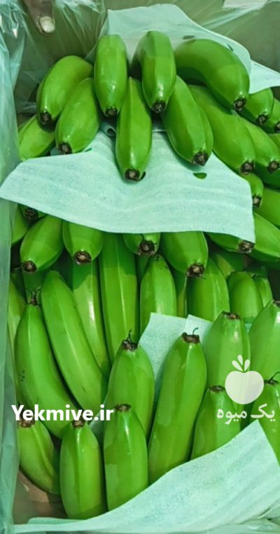 فروش موز هندی سبز در قم در گروه خرید و فروش موز در یکمیوه -عکس1