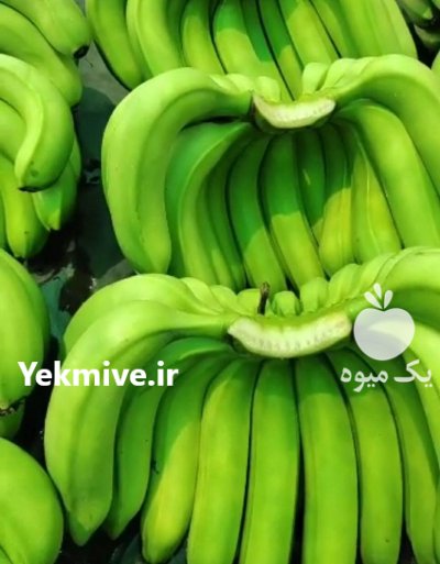 فروش موز هندی سبز در قم در گروه خرید و فروش موز در یکمیوه -عکس2