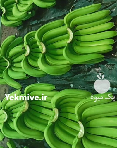 فروش موز هندی سبز در قم در گروه خرید و فروش موز در یکمیوه -عکس3