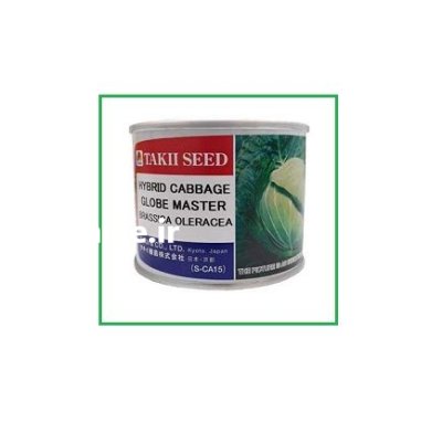 فروش بذر کلم پیچ GLOBE MASTER در اهواز در گروه خرید و فروش بذر صیفی جات در یکمیوه -عکس1