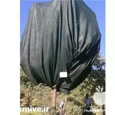 فروش توری ضد سرما زدگی گیاهان در تهران در گروه خرید و فروش توری گلخانه در یکمیوه -عکس1
