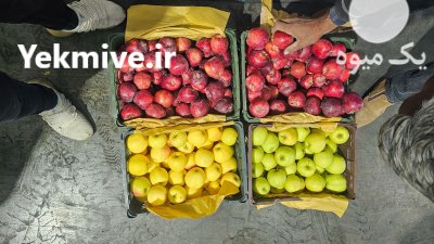 سیب زرد و قرمز در اصفهان در گروه خرید و فروش سیب در یکمیوه -عکس1