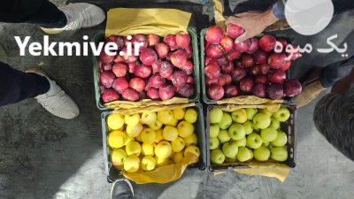 سیب زرد و قرمز در اصفهان در گروه خرید و فروش سیب در یکمیوه -عکس3