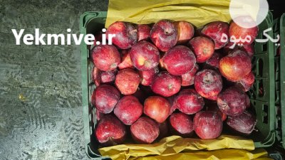 سیب زرد و قرمز در اصفهان در گروه خرید و فروش سیب در یکمیوه -عکس4