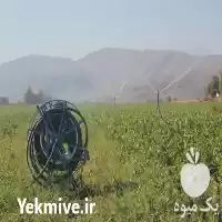 فروش ماشین آبفشان قرقره ای کوچک در مرودشت در گروه خرید و فروش دستگاه آبیاری در یکمیوه