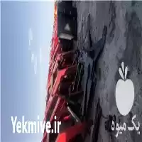 فروش بیل تراکتور فرگوسن رومانی در گروه خرید و فروش تراکتور فرگوسن در یکمیوه