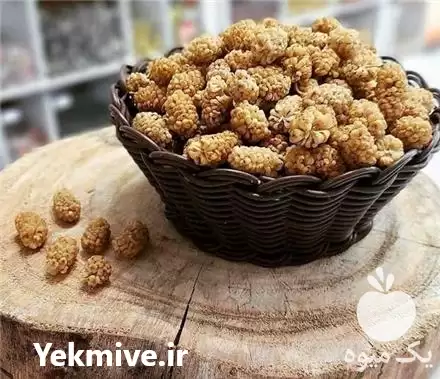 قیمت خرید پخش تناژ انواع توت در کاشان در گروه خرید و فروش توت در یکمیوه -عکس1