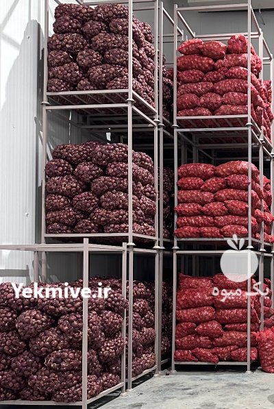 پیاز درجه یک بنابی قرمز در گروه خرید و فروش پیاز در یکمیوه -عکس1