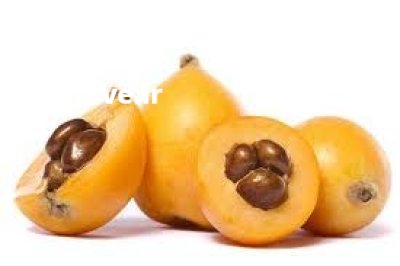 نهال ازگیل گلابی کانادایی فصل در اصفهان در گروه خرید و فروش نهال در یکمیوه -عکس3