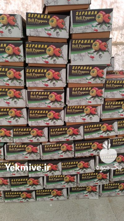 فروش فلفل دلمه در شهرضا در گروه خرید و فروش فلفل در یکمیوه -عکس2