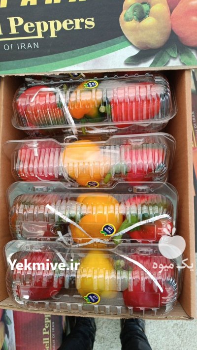 فروش فلفل دلمه در شهرضا در گروه خرید و فروش فلفل در یکمیوه -عکس4