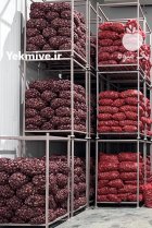 پیاز درجه یک بنابی قرمز در گروه خرید و فروش پیاز در یکمیوه