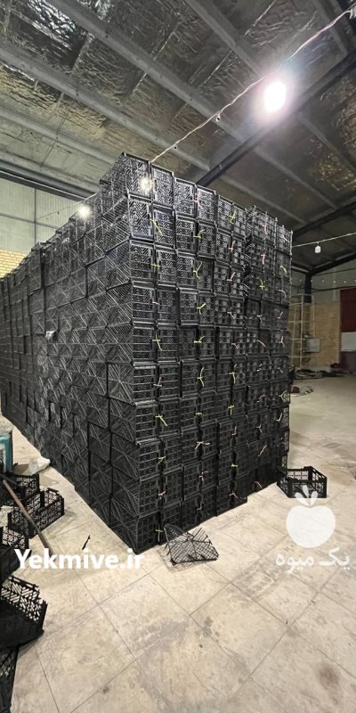 تولید پخش سبد 16 کیلویی گوجه میوه در شیراز در گروه خرید و فروش انواع سبد در یکمیوه -عکس2