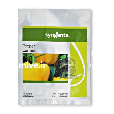 بذر فلفل دلمه رنگی لوموس سینجنتا در اهواز در گروه خرید و فروش بذر فلفل در یکمیوه -عکس1