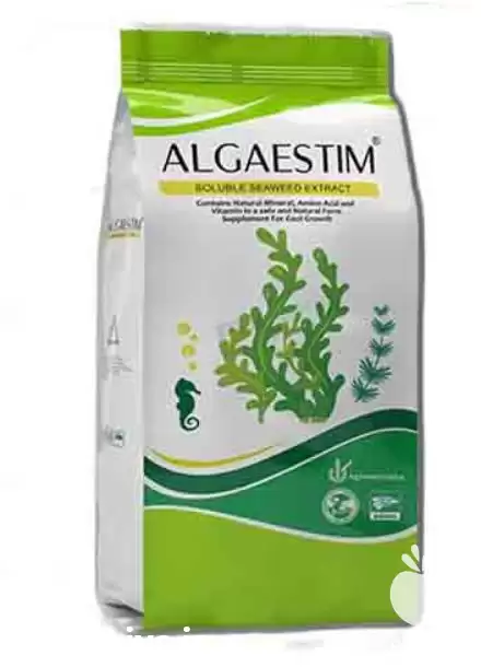 فروش کود جلبک دریایی آلگاستیم در تبریز در گروه خرید و فروش انواع کود کشاورزی در یکمیوه -عکس1