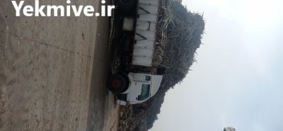 خرید انواع چوب باغی در سامان در گروه خرید و فروش انواع چوب در یکمیوه -عکس1