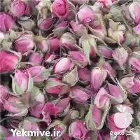 تولید و فروش غنچه گل محمدی در داراب در گروه خرید و فروش گیاهان دارویی در یکمیوه