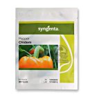 بذر فلفل دلمه رنگی چیدم سینجنتا در اهواز در گروه خرید و فروش بذر فلفل در یکمیوه