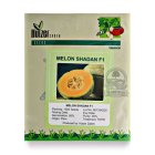 بذر ملون خربزه شادان در اهواز در گروه خرید و فروش بذر ملون در یکمیوه