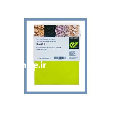 بذر بادمجان قلمی RAHF انزا بذر در اندیمشک در گروه خرید و فروش بذر بادمجان در یکمیوه -عکس1