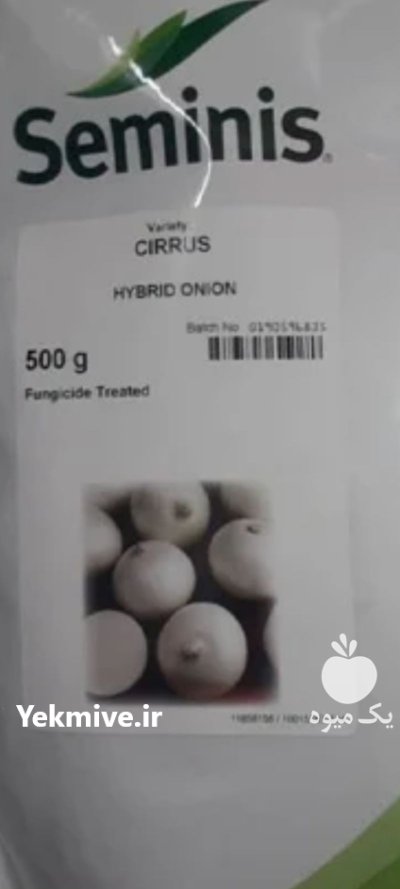 خریدار بذر پیاز در کرمان در گروه خرید و فروش بذر پیاز در یکمیوه -عکس1