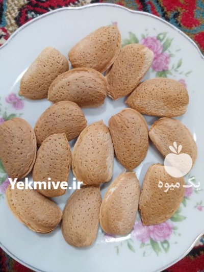 نهال بادام نهال رامسکا در گروه خرید و فروش نهال در یکمیوه -عکس1