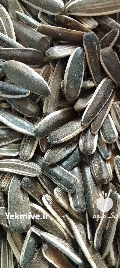 فروش لوبیا محصولات کشاورزی بدون واسطه از کشاورز در گروه خرید و فروش غلات و حبوبات در یکمیوه -عکس1